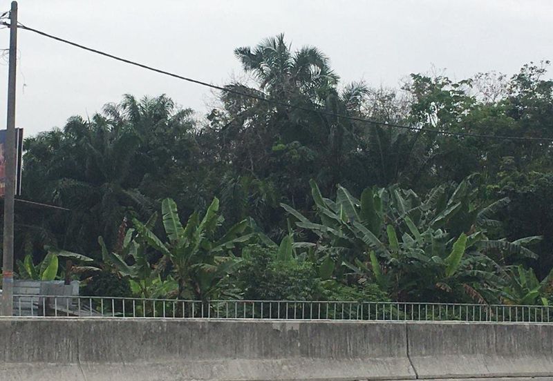 5ac Meru Residential Land For Sale