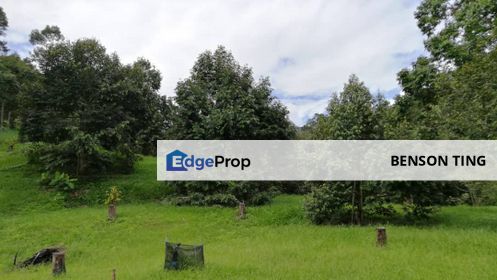 9.63ac Raub Musang King Orchard Land For Sale, Pahang, Raub