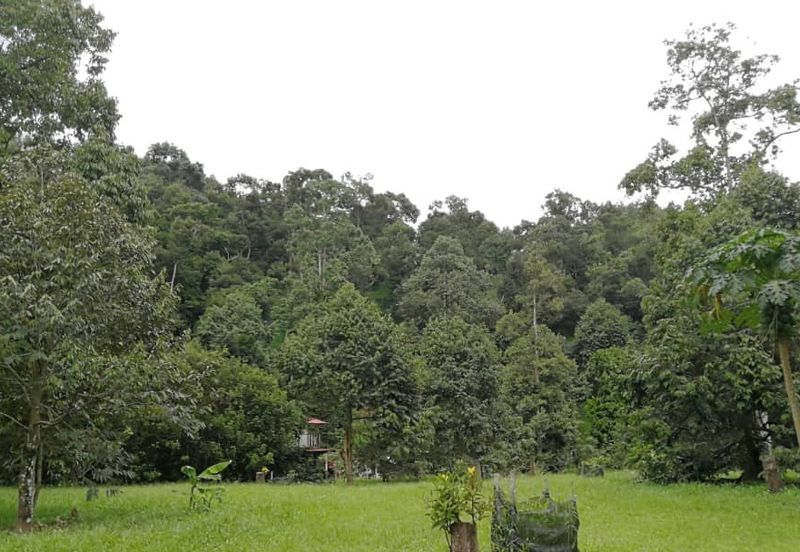 JALAN RAUB-BENTONG