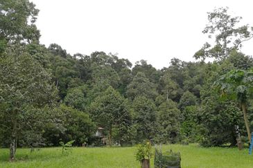 JALAN RAUB-BENTONG