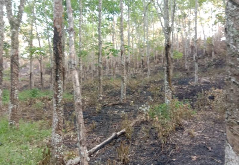 72ac Bentong Eco-Resort Agricultural Land For Sale