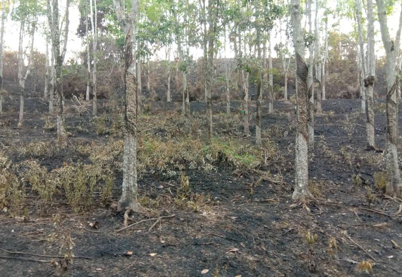 72ac Bentong Eco-Resort Agricultural Land For Sale