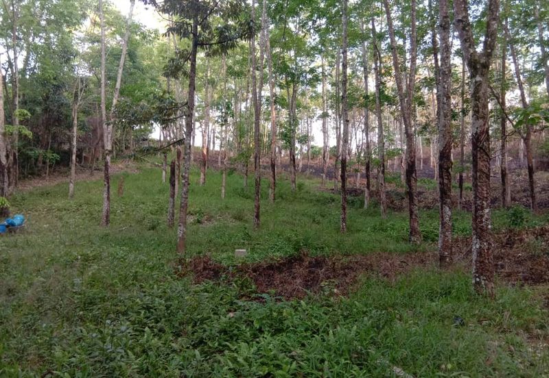 72ac Bentong Eco-Resort Agricultural Land For Sale