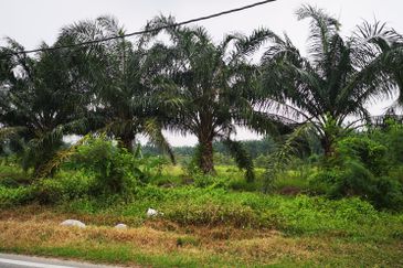 3.2ac Residential Land For Sale Beranang, Selangor