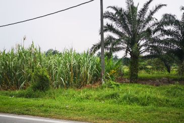 3.2ac Residential Land For Sale Beranang, Selangor