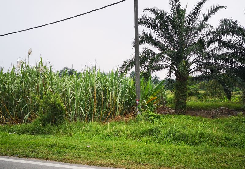 3.2ac Residential Land For Sale Beranang, Selangor