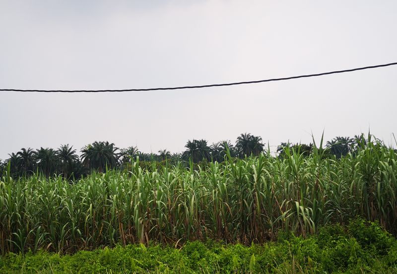 3.2ac Residential Land For Sale Beranang, Selangor