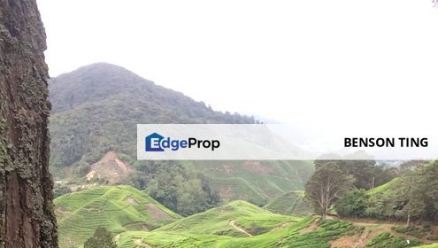 Cameron Highlands Bungalow Land For Sale, Pahang, Cameron Highlands