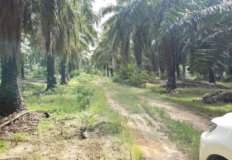 Kapar 10.5 Acres Residential Land For Sale