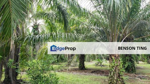 Kapar 10.5 Acres Residential Land For Sale, Selangor, Kapar 