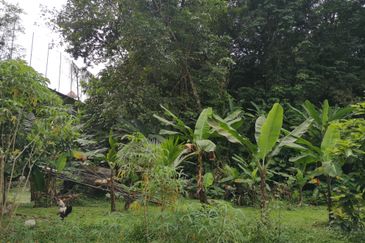 Prime Mont Kiara (Kuala Lumpur) Development Land For Sale