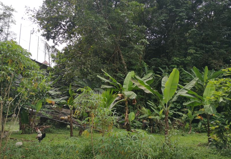 Prime Mont Kiara (Kuala Lumpur) Development Land For Sale