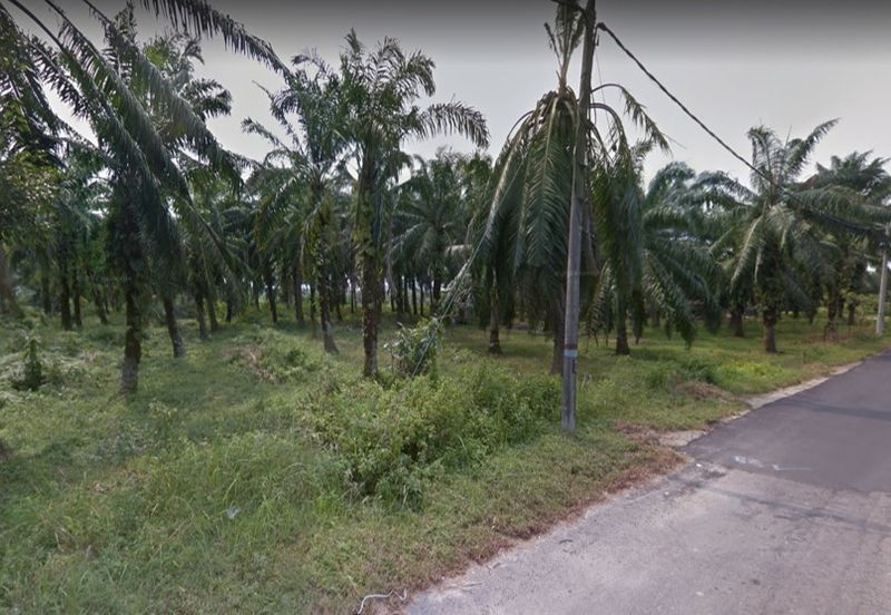 2 Acres Agricultural (Banting, Kuala Langat) Land For Sale
