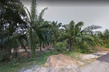 2 Acres Agricultural (Banting, Kuala Langat) Land For Sale