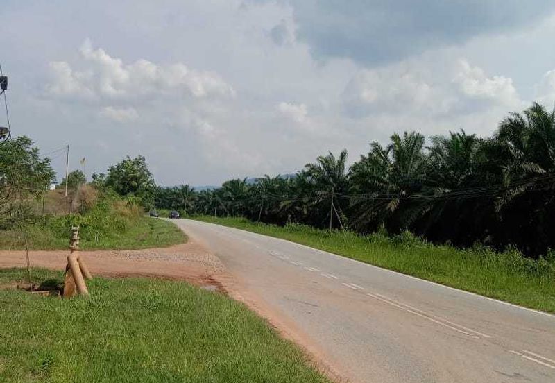 6.7 Acres Musang King Durian Farm Land Simpang Pertang Jelebu 