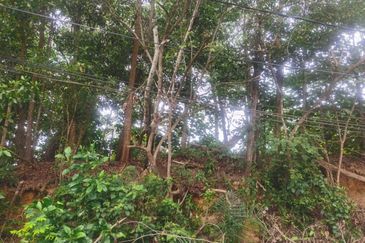 Residential Land For Sale in Sungai Merab