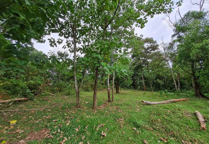 Residential Land For Sale in Sungai Merab