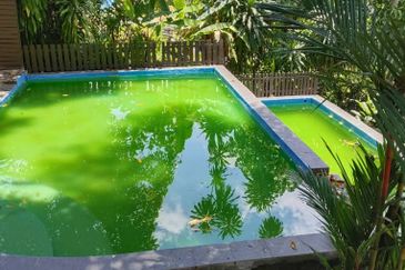 Bungalow in Selekoh Hills To Let
