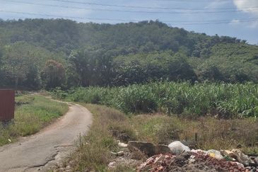 A parcel of agricultural land for sale in Kampung Sungai Buloh, Alor Gajah @ Simpang Ampat, Melaka