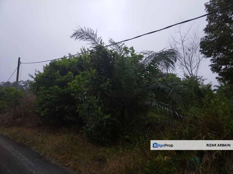Bungalow lot (0.5 acre) for sale at RTP Bukit Dinding, Jerantut/Temerloh, Pahang, Pahang, Jerantut