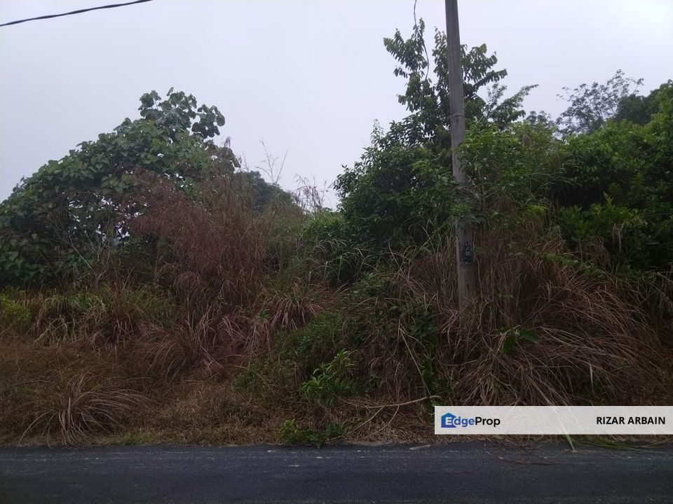 Bungalow lot (0.5 acre) for sale at RTP Bukit Dinding, Jerantut/Temerloh, Pahang, Pahang, Jerantut