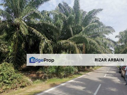 A parcel of agricultural land for sale in Bukit Jugra, Banting, Selangor, Banting