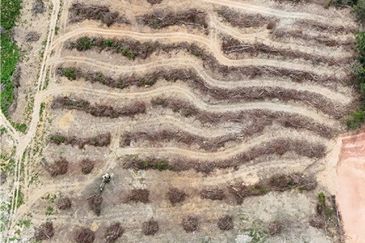 Bungalow lot untuk dijual di Pulau Sebang, Simpang Ampat, Alor Gajah, Melaka