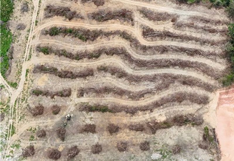 Bungalow lot untuk dijual di Pulau Sebang, Simpang Ampat, Alor Gajah, Melaka