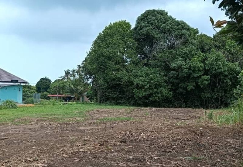 Tanah bungalow untuk dijual di Serkam Darat, Merlimau, Jasin, Melaka