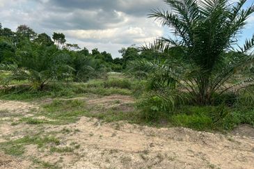 Tanah Pertanian Kelapa Sawit di Kampung Batu 10, Batu Anam Segamat untuk dijual