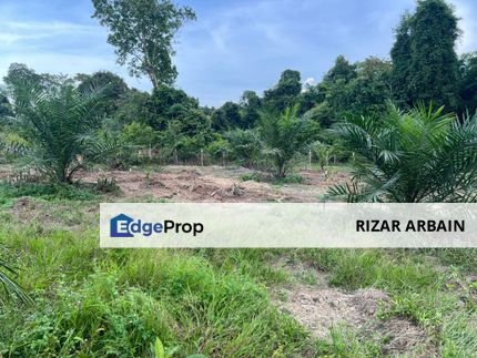 Tanah Pertanian Kelapa Sawit di Kampung Batu 10, Batu Anam Segamat untuk dijual, Johor, Batu Anam