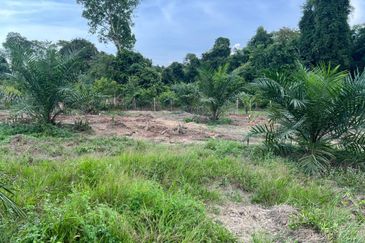 Tanah Pertanian Kelapa Sawit di Kampung Batu 10, Batu Anam Segamat untuk dijual