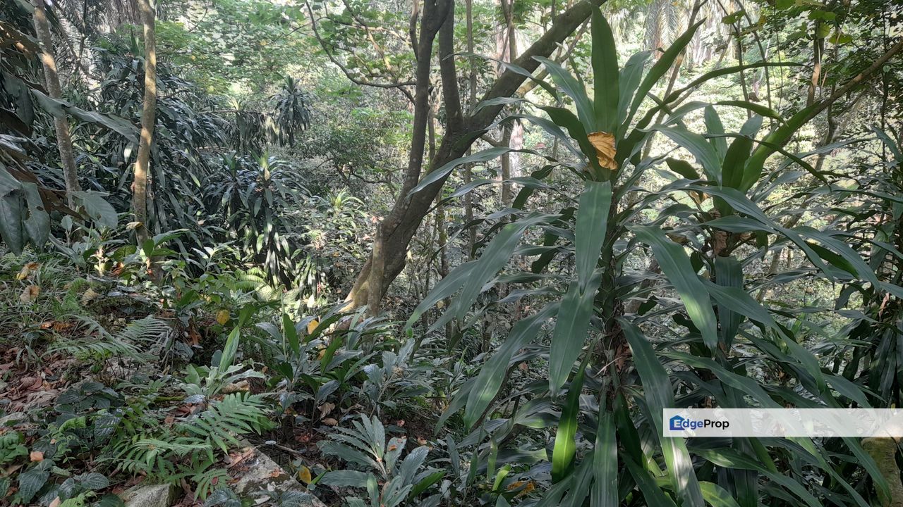 Residential Land, Ukay Heights, Ampang, Selangor, Selangor, Ampang