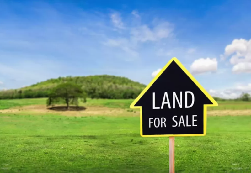 Industrial zoning Agriculture Land in Jalan Dengkil-Banting, Sepang