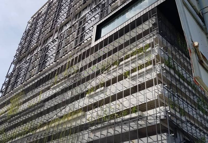 Flexus Signature Suites