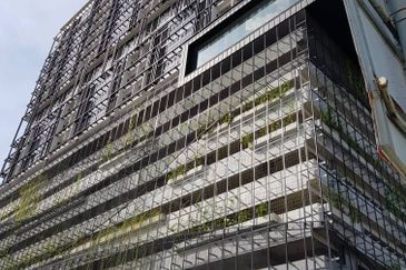 Flexus Signature Suites