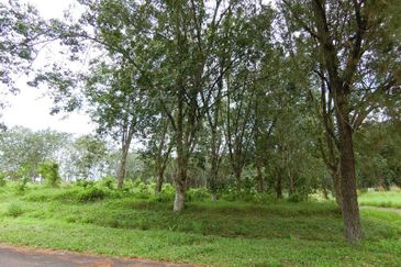 Taman Tasik Semenyih