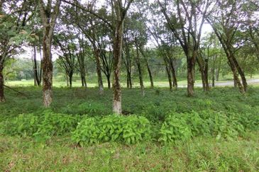 Taman Tasik Semenyih
