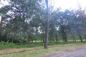 Taman Tasik Semenyih