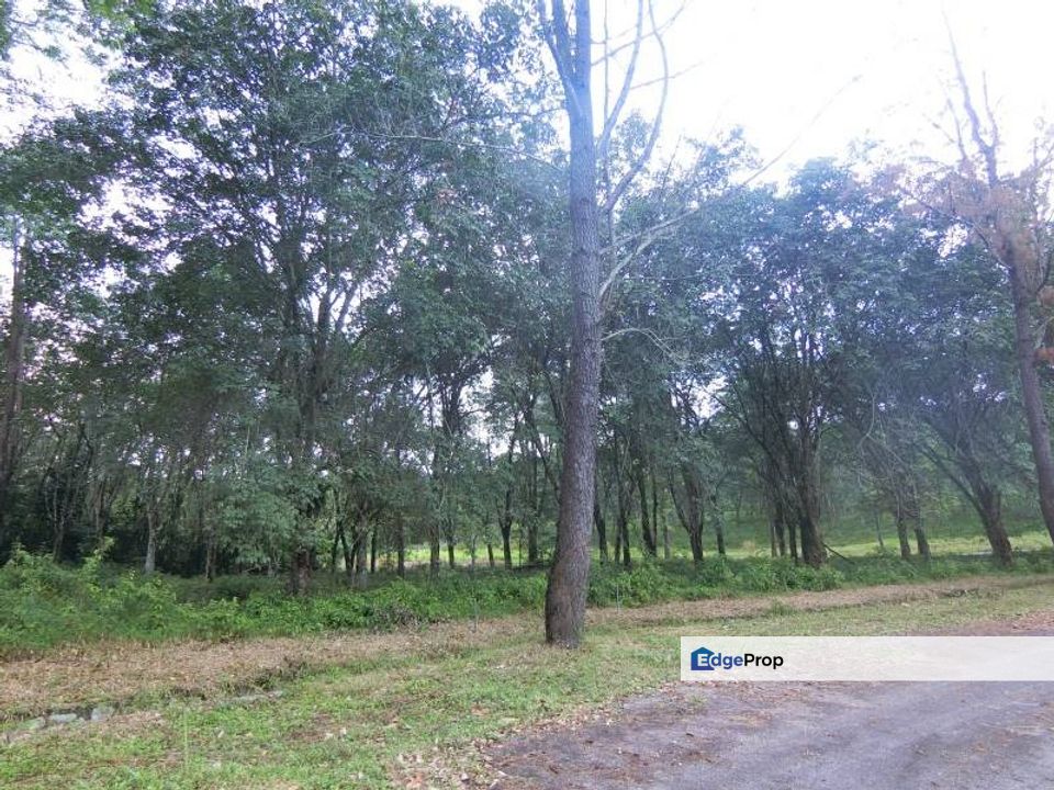 5.71 Acre Semenyih Tmn Tasik Semenyih Freehold Agricultural Land, Selangor, Semenyih