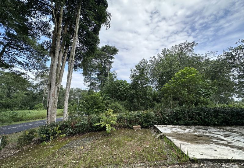 College Heights Garden Resort