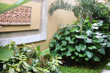 Bungalow with Private Pool @ Bukit Tunku (Kenny Hills)