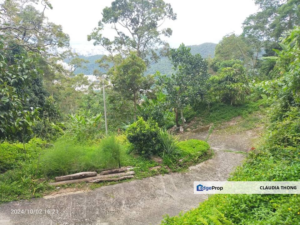 Expansive Freehold Estate Land - Prime Air Itam Investment Opportunity, Penang, Ayer Itam
