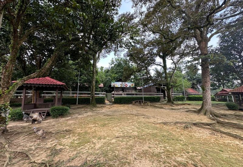 Kampung Cempedak