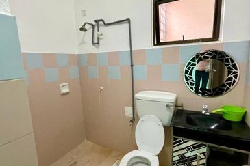 Evergreen Park Acorn and Hazel