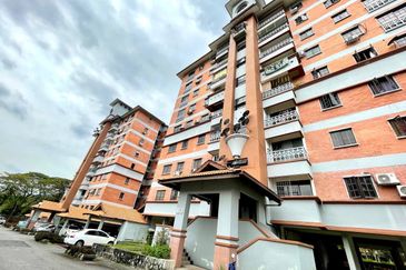 Evergreen Park Acorn and Hazel