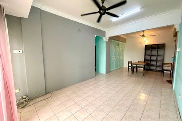 Evergreen Park Acorn and Hazel