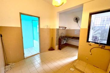 Evergreen Park Acorn and Hazel