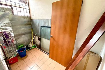 Evergreen Park Acorn and Hazel