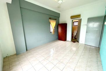 Evergreen Park Acorn and Hazel